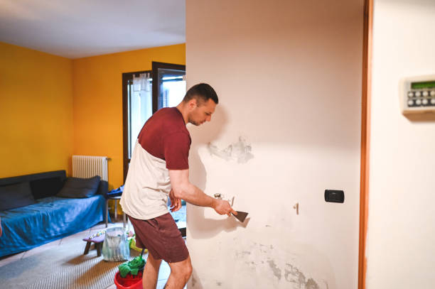 Best Attic Mold Removal  in Argos, IN